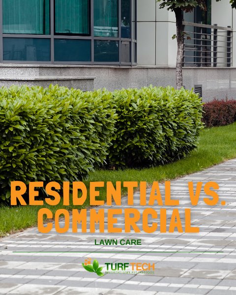 Residential vs. Commercial Lawn Care: What’s the Difference?