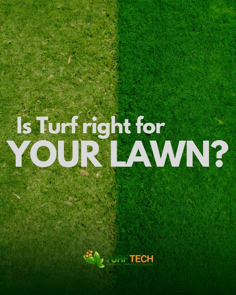 Artificial Turf Pros & Cons: Is It Right for Your Yard?