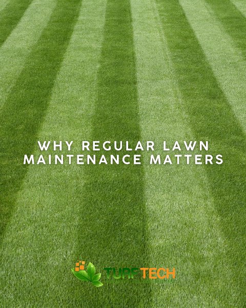 Why Regular Lawn Maintenance Matters for Your Property