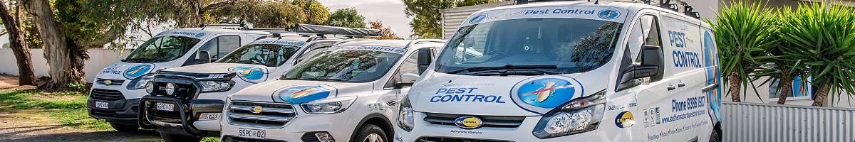 Southern Suburbs Pest Control Banner