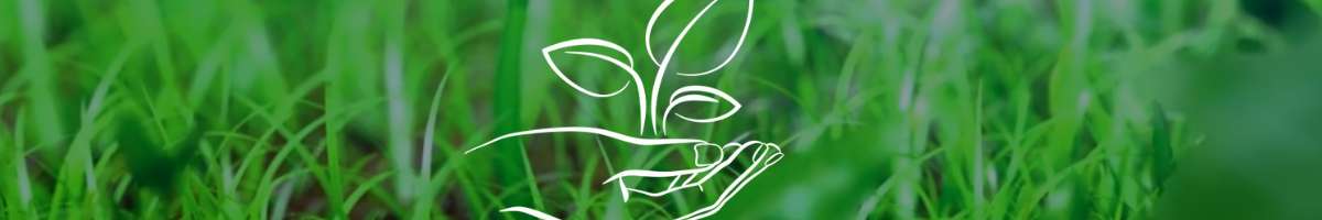 Nifty Marketing Australia Banner