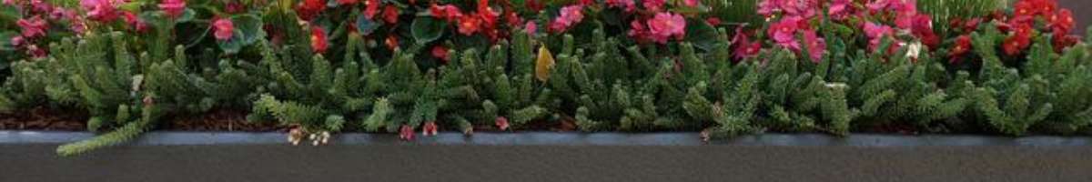 Landscapetanks Banner