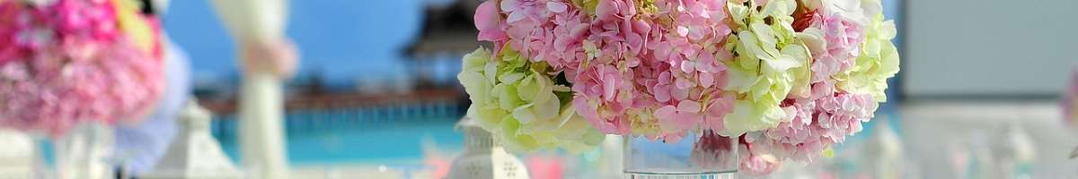 The Little Laneway Banner