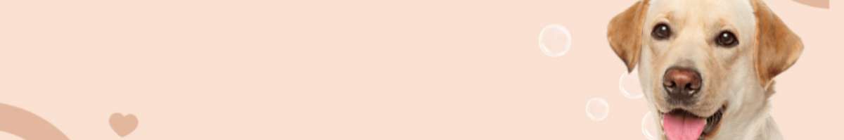 Dexie & Loki Co. Banner