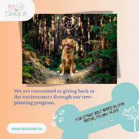 Spend $120 at Dexie & Loki Co. and we'll plant 2 trees in your honour - by Dexie & Loki