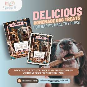 Looking for healthy and delicious treats for your pup? Our new recipe book has you covered! - by Dexie & Loki