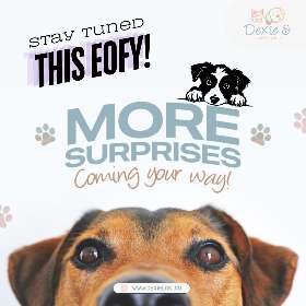 Get ready for amazing deals and exciting new products. EOFY Sale coming soon! - by Dexie Loki