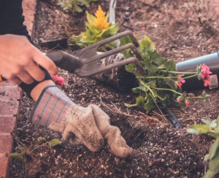 Soil, Agronomic Advice