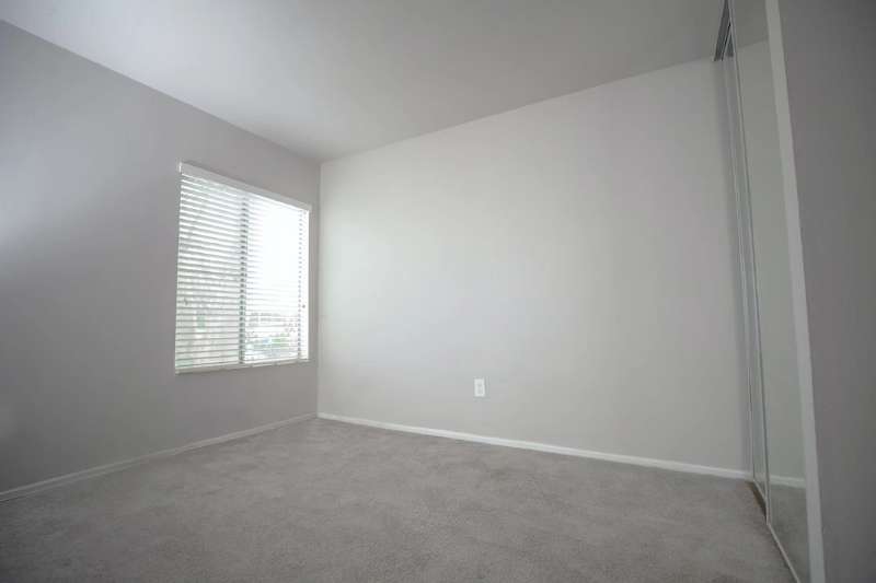 Deep Carpet Cleaning