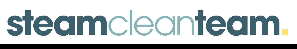 Steam Clean Team Banner