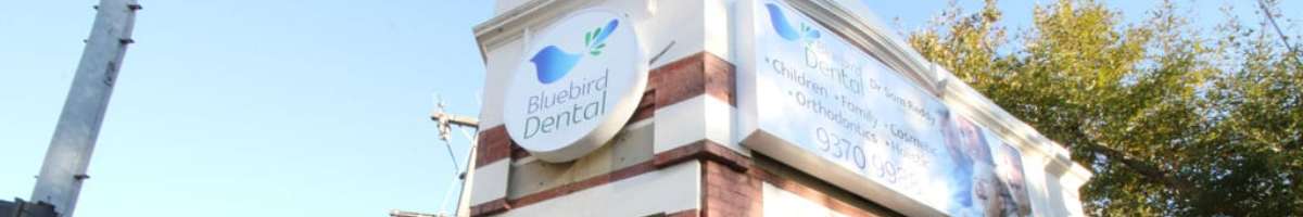 Bluebird Dental Banner