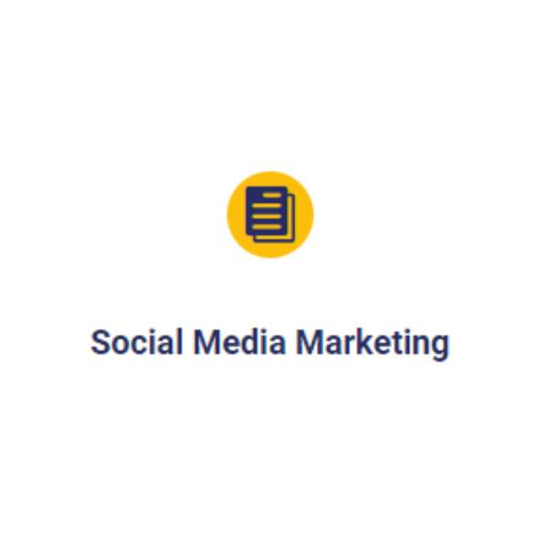 Social Media Marketing Services