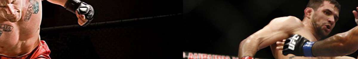 BANKSTOWN MARTIAL ARTS(NITRIXX) Banner