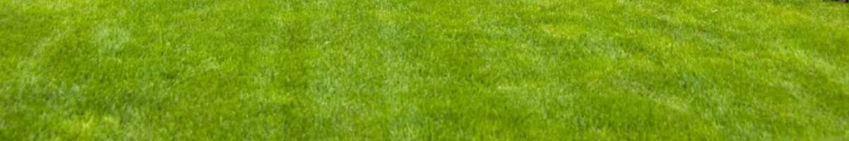 Active Landscaping Sydney Banner