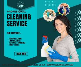 Cleaney