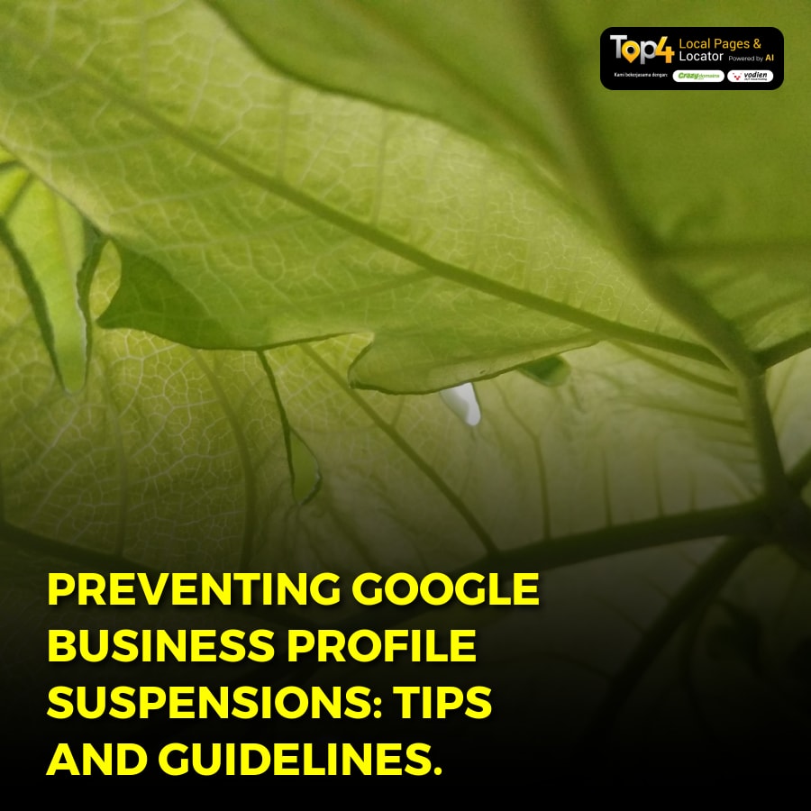 Preventing Google Business Profile Suspensions: Tips and Guidelines