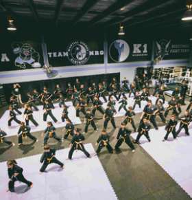 MARTIAL ENERGY AUSTRALIA