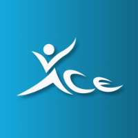Ace Volleyball Academy Logo