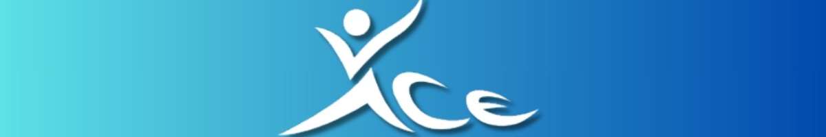 Ace Volleyball Academy Banner