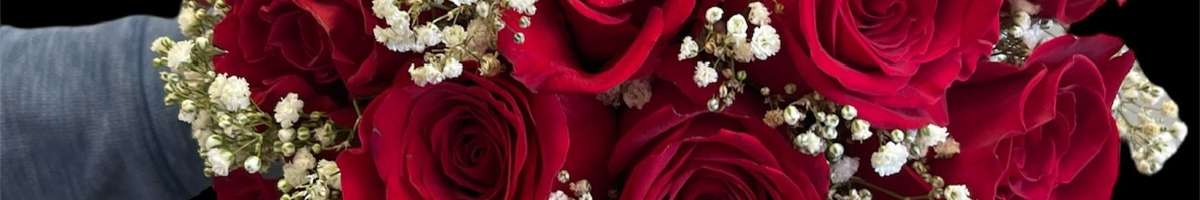 Flowers by Marisa Banner
