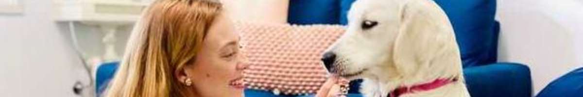 The Speech Express Banner