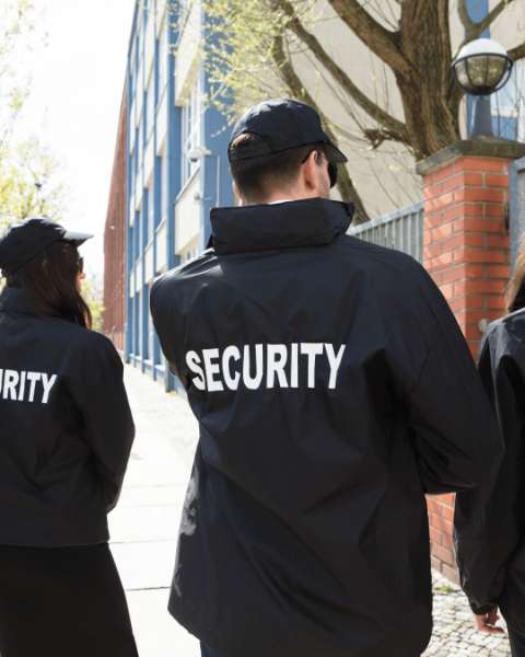The Ultimate Guide to Ensuring Event Safety with Professional Crowd Control Security