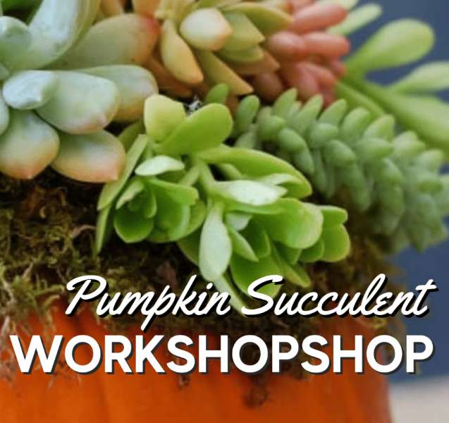 Pumpkin Succulent Workshop