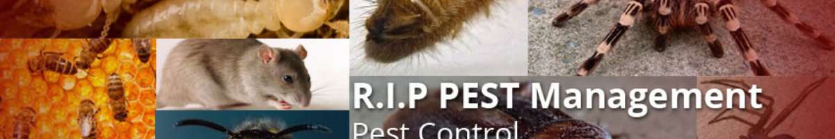 R.I.P Pest Management Banner