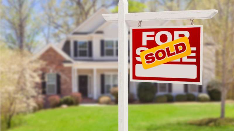 Buyer Services