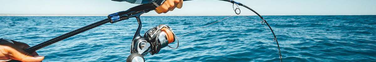fishingaus Banner
