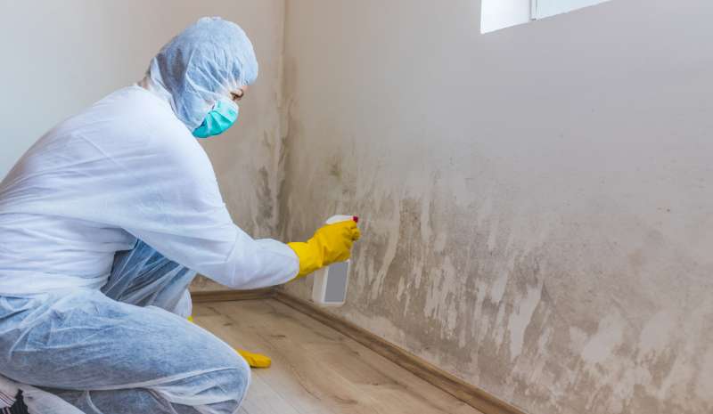 What Are the 10 Warning Signs of Mold Toxicity?