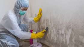 Mold Inspection