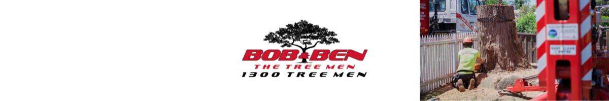 Bob and Ben the Tree Men Banner