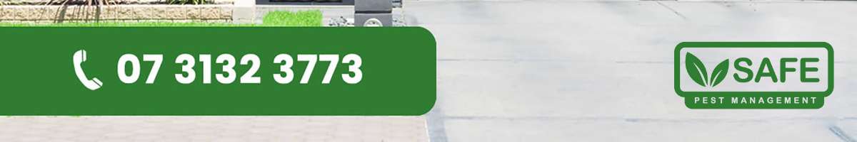 SAFE Pest Control Brisbane Banner