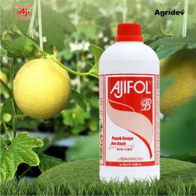 Pupuk cair organik Ajifol B
