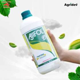 Pupuk Daun Terbaik Ajifol D