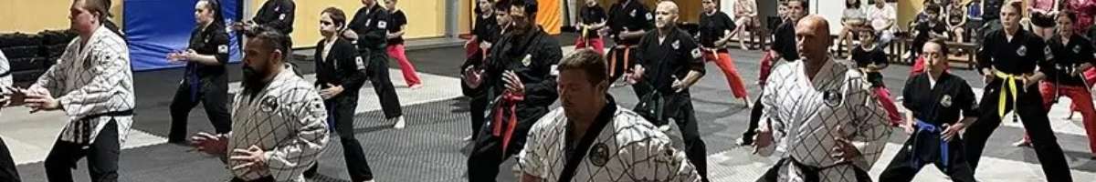 Bayside Hapkido Banner