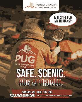 safe scenic pug approved