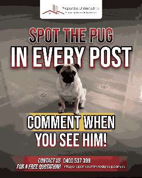 spot the pug in every post!