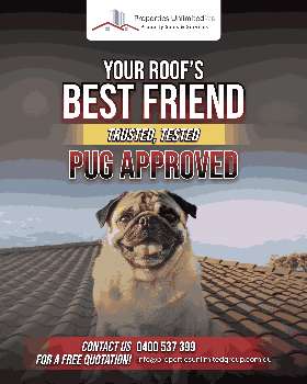 your roof's best friend!