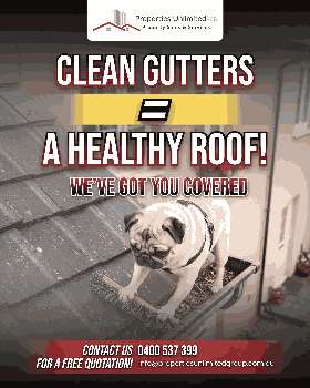 clean gutters = a healthy roof