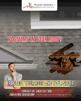 possums in your roof?