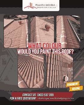 what colour would you paint this roof