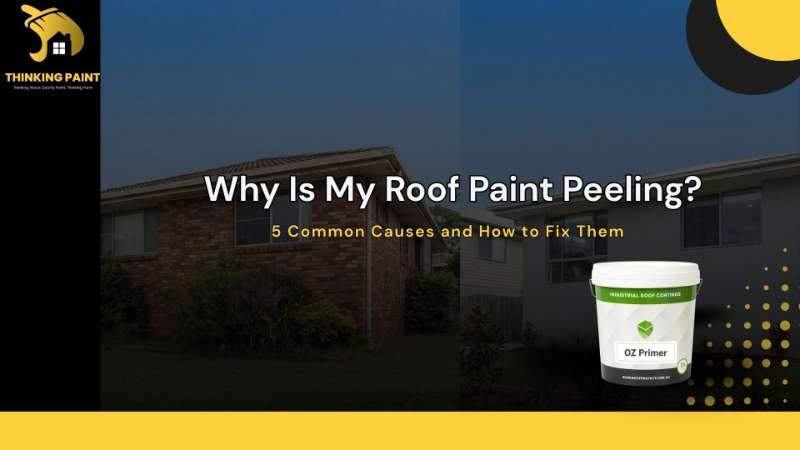Why Is My Roof Paint Peeling? 5 Causes & Fixes