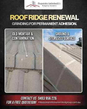 Roof ridge renewal