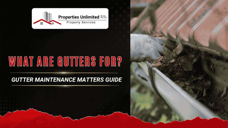 What Are Gutters For? Purpose & Why Gutter Maintenance Matters