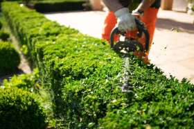 Garden & Landscaping