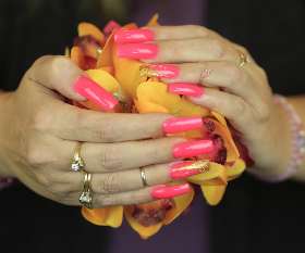 Bold & Vibrant Colors