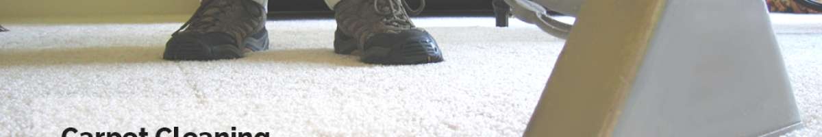 Pure N Bright Cleaning - Carpet Cleaning Specialist in Melbourne Banner