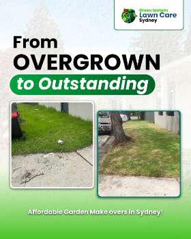 From Overgrown to Outstanding 